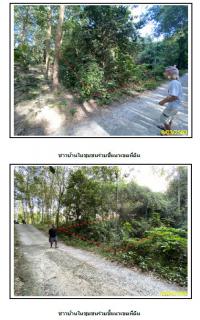 https://ww38.ohoproperty.com/1401/ธนาคารกรุงไทย/ขายที่ดินเปล่า/หน้าเมือง/เกาะสมุย/สุราษฎร์ธานี/
