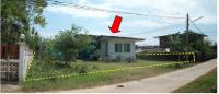 https://ww38.ohoproperty.com/2714/ธนาคารกรุงไทย/ขายบ้านเดี่ยว/รอบเมือง/เมืองร้อยเอ็ด/ร้อยเอ็ด/