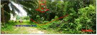 https://ww38.ohoproperty.com/2514/ธนาคารกรุงไทย/ขายที่ดินเปล่า/เหนือคลอง/เหนือคลอง/กระบี่/