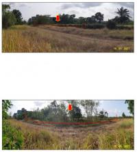 https://ww38.ohoproperty.com/141238/ธนาคารกรุงไทย/ขายที่ดินเปล่า/บ้านนา/เมืองชุมพร/ชุมพร/