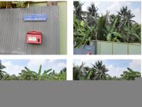 https://ww38.ohoproperty.com/188205/ธนาคารกรุงไทย/ขายที่ดินพร้อมสิ่งปลูกสร้าง/ท้ายหาด/เมืองสมุทรสงคราม/สมุทรสงคราม/