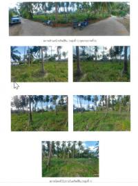 https://ww38.ohoproperty.com/201107/ธนาคารกรุงไทย/ขายที่ดินเปล่า/หน้าเมือง/เกาะสมุย/สุราษฎร์ธานี/