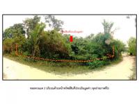 https://ww38.ohoproperty.com/209983/ธนาคารออมสิน/ขายที่ดิน/เหนือคลอง/เหนือคลอง/กระบี่/