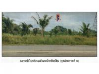 https://ww38.ohoproperty.com/210073/ธนาคารออมสิน/ขายที่ดิน/กะปาง/ทุ่งสง/นครศรีธรรมราช/