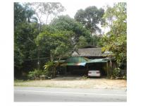 https://ww38.ohoproperty.com/161675/ธนาคารออมสิน/ขายที่ดินพร้อมสิ่งปลูกสร้าง/โต๊ะเด็ง/สุไหงปาดี/นราธิวาส/
