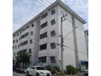https://ww38.ohoproperty.com/219509/ธนาคารออมสิน/ขายคอนโด/อาคารชุด/ห้องชุด/บางคูวัด/เมืองปทุมธานี/ปทุมธานี/