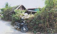 https://ww38.ohoproperty.com/166945/ธนาคารอาคารสงเคราะห์/ขายบ้านเดี่ยว/ชมพู/เมืองลำปาง/ลำปาง/