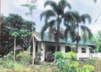 https://ww38.ohoproperty.com/143639/ธนาคารอาคารสงเคราะห์/ขายบ้านเดี่ยว/อุโมงค์/เมืองลำพูน/ลำพูน/