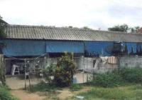 https://ww38.ohoproperty.com/146965/ธนาคารอาคารสงเคราะห์/ขายแฟลต/ปางหมู/เมืองแม่ฮ่องสอน/แม่ฮ่องสอน/