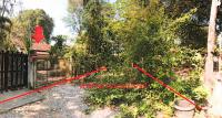 https://ww38.ohoproperty.com/188993/ธนาคารอาคารสงเคราะห์/ขายบ้านเดี่ยว/นาดี/เมืองอุดรธานี/อุดรธานี/