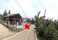 https://ww38.ohoproperty.com/193480/ธนาคารอาคารสงเคราะห์/ขายบ้านเดี่ยว/โพธิ์ชัย/เมืองหนองบัวลำภู/หนองบัวลำภู/