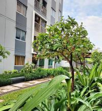 https://ww38.ohoproperty.com/212609/ธนาคารอาคารสงเคราะห์/ขายคอนโด/รังสิต/ธัญบุรี/ปทุมธานี/