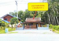 https://ww38.ohoproperty.com/217111/ธนาคารอาคารสงเคราะห์/ขายบ้านเดี่ยว/หลักช้าง//นครศรีธรรมราช/