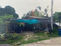 https://ww38.ohoproperty.com/219939/ธนาคารอาคารสงเคราะห์/ขายบ้านเดี่ยว/วังไผ่/เมืองชุมพร/ชุมพร/