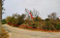 https://ww38.ohoproperty.com/182534/ธนาคารกสิกรไทย/ขายที่ดินว่างเปล่า/บ้านกลาง/สันป่าตอง/เชียงใหม่/