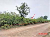 https://ww38.ohoproperty.com/158558/ธนาคารกสิกรไทย/ขายที่ดินว่างเปล่า/กล้วยแพะ/เมืองลำปาง/ลำปาง/