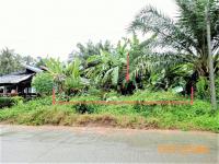 https://ww38.ohoproperty.com/151896/ธนาคารกสิกรไทย/ขายที่ดินว่างเปล่า/คลองท่อมใต้/คลองท่อม/กระบี่/
