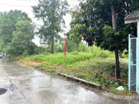 https://ww38.ohoproperty.com/153983/ธนาคารกสิกรไทย/ขายที่ดินว่างเปล่า/งิ้วราย/ตะพานหิน/พิจิตร/