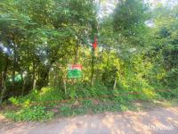 https://ww38.ohoproperty.com/159061/ธนาคารกสิกรไทย/ขายที่ดินว่างเปล่า/เมืองใหม่/ศรีบุญเรือง/หนองบัวลำภู/