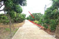 https://ww38.ohoproperty.com/156003/ธนาคารกสิกรไทย/ขายที่ดินว่างเปล่า/หนองล่อง/เวียงหนองล่อง/ลำพูน/