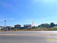 https://ww38.ohoproperty.com/167547/ธนาคารกสิกรไทย/ขายที่ดินว่างเปล่า/บ้านกล้วย/เมืองสุโขทัย/สุโขทัย/
