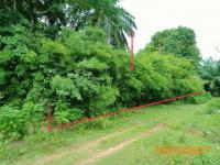 https://ww38.ohoproperty.com/190465/ธนาคารกสิกรไทย/ขายที่ดินว่างเปล่า/ทรายขาว/คลองท่อม/กระบี่/