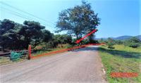 https://ww38.ohoproperty.com/192104/ธนาคารกสิกรไทย/ขายที่ดินว่างเปล่า/ป่าไผ่/ลี้/ลำพูน/
