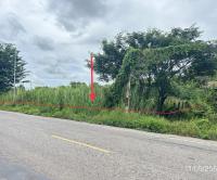 https://ww38.ohoproperty.com/192105/ธนาคารกสิกรไทย/ขายที่ดินว่างเปล่า/งิ้วราย/ตะพานหิน/พิจิตร/