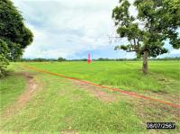 https://ww38.ohoproperty.com/212491/ธนาคารกสิกรไทย/ขายที่ดินว่างเปล่า/หัวขวาง/โกสุมพิสัย/มหาสารคาม/