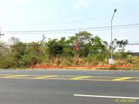 https://ww38.ohoproperty.com/205972/ธนาคารกสิกรไทย/ขายที่ดินว่างเปล่า/กุดชมภู/พิบูลมังสาหาร/อุบลราชธานี/