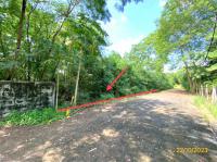 https://ww38.ohoproperty.com/206077/ธนาคารกสิกรไทย/ขายที่ดินว่างเปล่า/รังสิต/ธัญบุรี/ปทุมธานี/