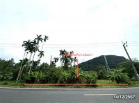https://ww38.ohoproperty.com/219272/ธนาคารกสิกรไทย/ขายที่ดินว่างเปล่า/ควนสตอ/ควนโดน/สตูล/