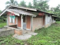 https://ww38.ohoproperty.com/156781/ธนาคารกสิกรไทย/ขายบ้านเดี่ยว/แม่สูน/ฝาง/เชียงใหม่/