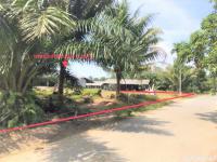https://ww38.ohoproperty.com/165696/ธนาคารกสิกรไทย/ขายบ้านเดี่ยว/ช้างกลาง/ช้างกลาง/นครศรีธรรมราช/