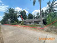 https://ww38.ohoproperty.com/177214/ธนาคารกสิกรไทย/ขายบ้านเดี่ยว/ห้วยน้ำขาว/คลองท่อม/กระบี่/