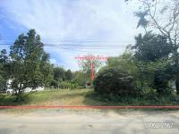 https://ww38.ohoproperty.com/182859/ธนาคารกสิกรไทย/ขายบ้านเดี่ยว/พังลา/สะเดา/สงขลา/