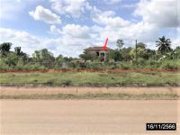 https://ww38.ohoproperty.com/188158/ธนาคารกสิกรไทย/ขายบ้านเดี่ยว/พังขว้าง/เมืองสกลนคร/สกลนคร/
