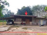 https://ww38.ohoproperty.com/217814/ธนาคารกสิกรไทย/ขายบ้านเดี่ยว/หลักช้าง/ช้างกลาง/นครศรีธรรมราช/