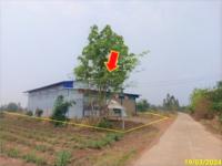 https://ww38.ohoproperty.com/199706/ธนาคารกสิกรไทย/ขายโกดัง/หันนางาม/ศรีบุญเรือง/หนองบัวลำภู/
