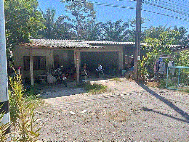 https://ww38.ohoproperty.com/204216/ธนาคารกรุงเทพ/ขายบ้าน/นาทอน/ทุ่งหว้า/สตูล/