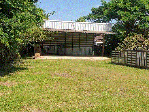 https://ww38.ohoproperty.com/214700/ธนาคารกรุงเทพ/ขายที่ดินพร้อมสิ่งปลูกสร้าง (อื่น ๆ)/ริมกก/เมืองเชียงราย/เชียงราย/