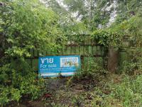 https://ww38.ohoproperty.com/211329/ธนาคารทหารไทยธนชาต/ขายโรงงาน/หมอนนาง/พนัสนิคม/ชลบุรี/